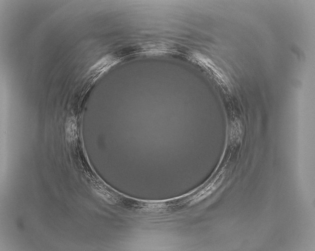 X0000115741353200912031419