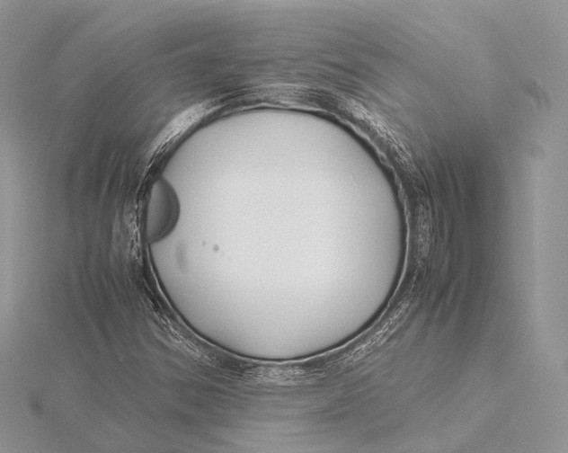 X0000115741354200912031419