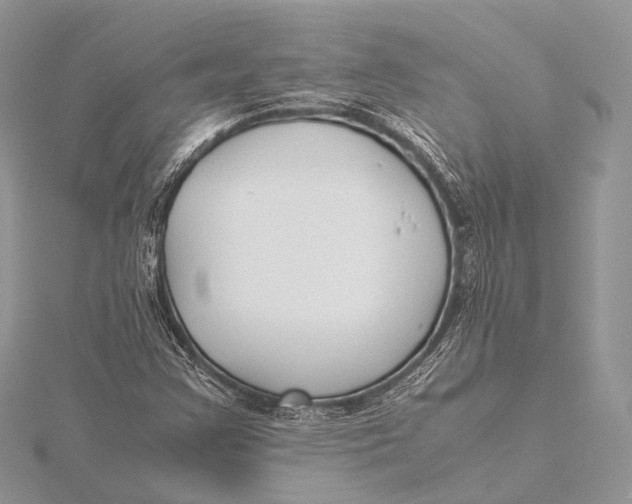 X0000115741355200912031419