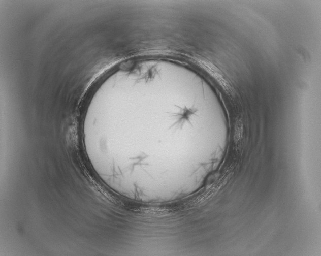 X0000115741356200912031419