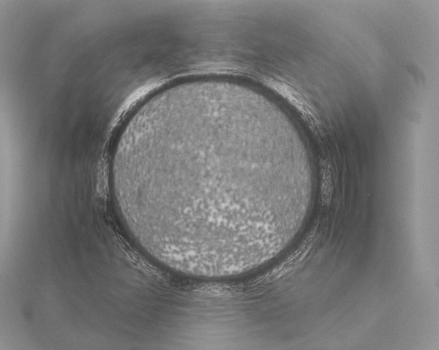 X0000115741358200912031419