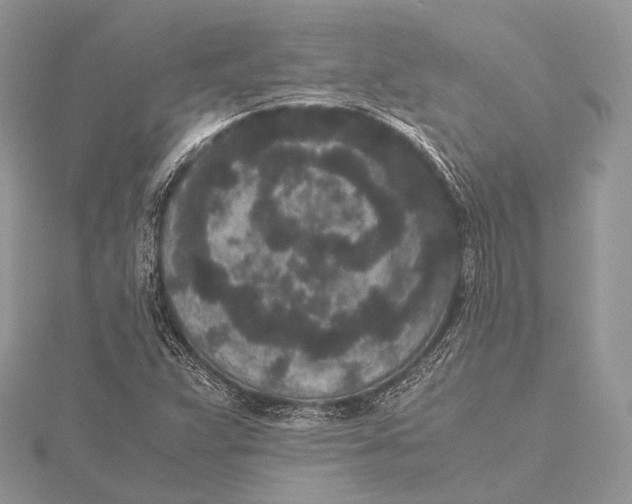 X0000115741359200912031419