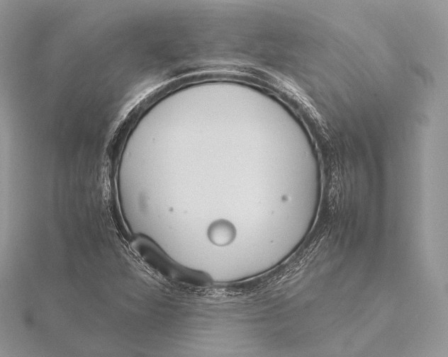 X0000115741360200912031419