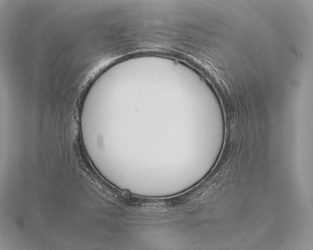 X0000115741363200912031419