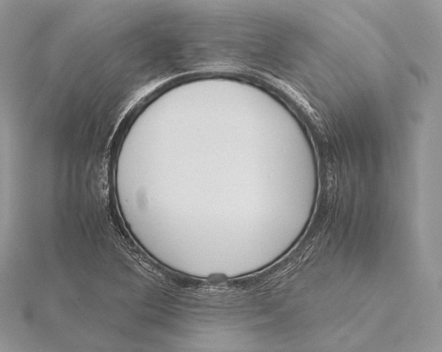 X0000115741364200912031419