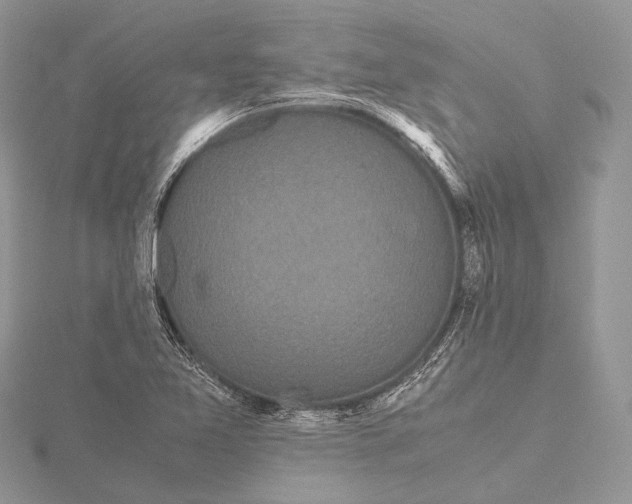 X0000115741365200912031419