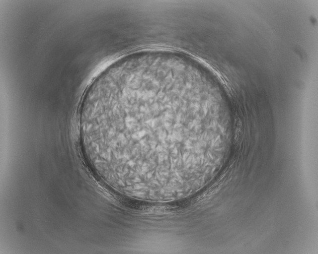 X0000115741367200912031419