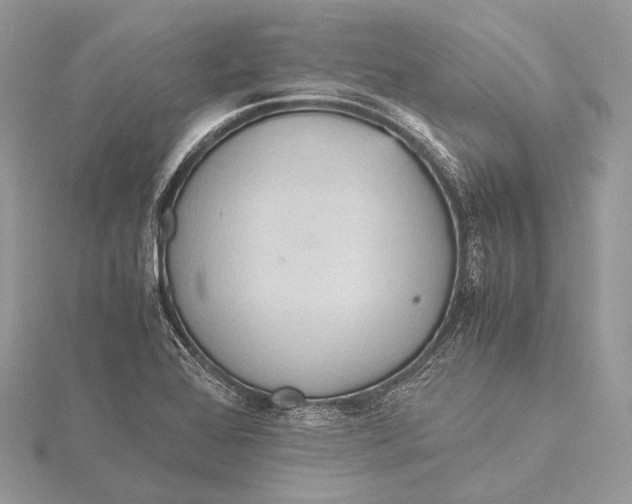 X0000115741368200912031419