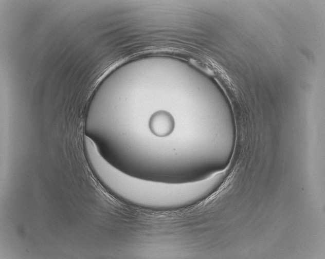 X0000115741369200912031418