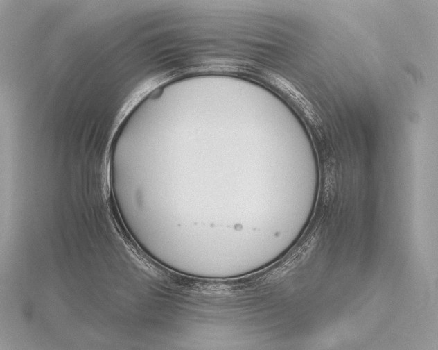 X0000115741370200912031418