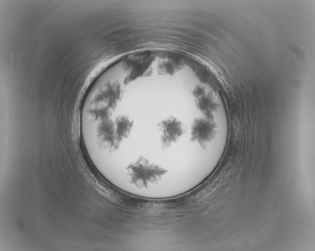 X0000115741371200912031418