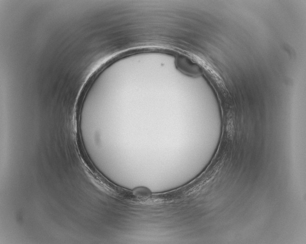 X0000115741372200912031418