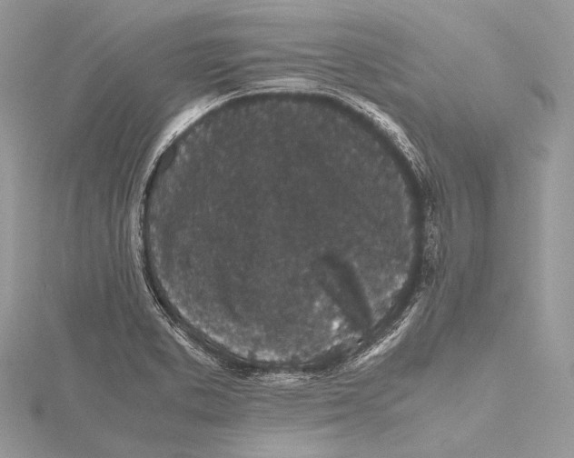 X0000115741373200912031418