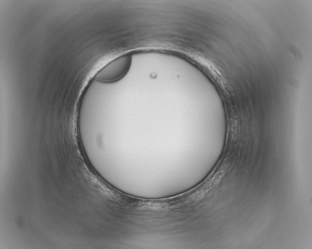 X0000115741374200912031418