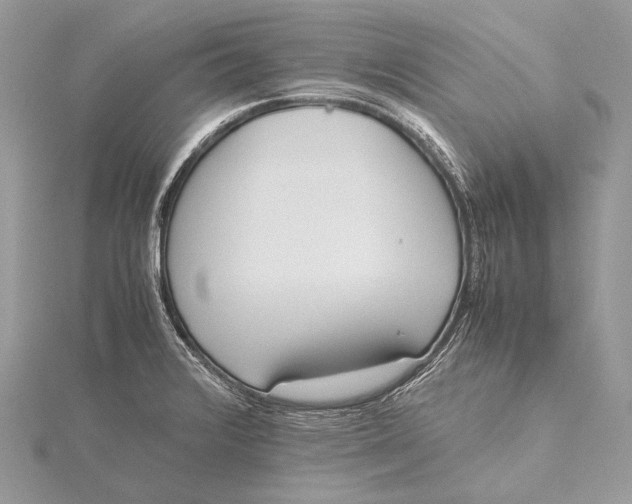 X0000115741376200912031418