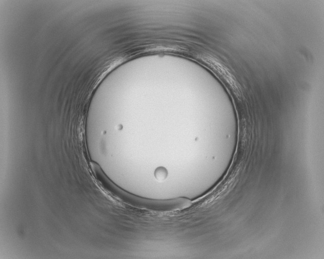 X0000115741377200912031418