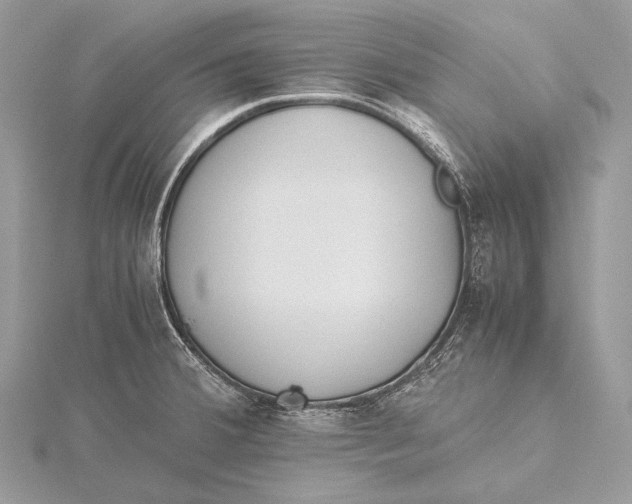 X0000115741380200912031418