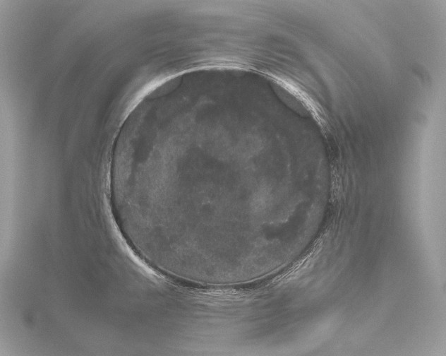 X0000115741383200912031418