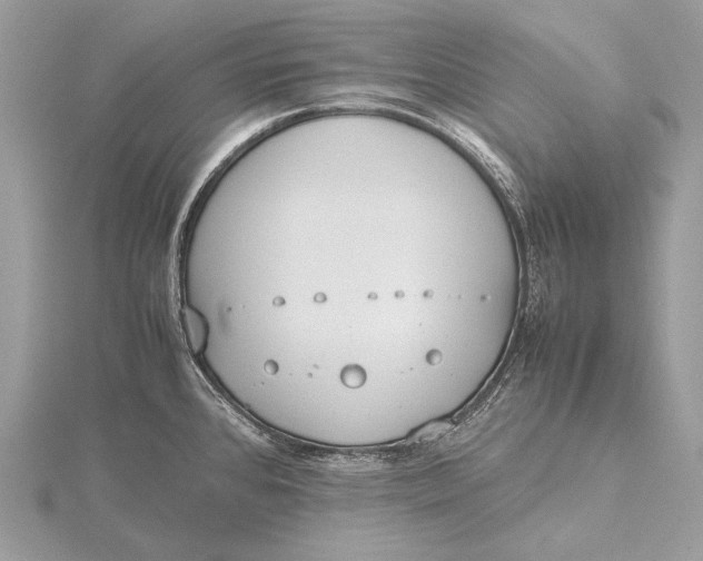 X0000115741384200912031418