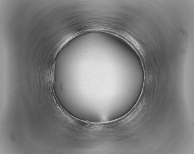 X0000115741385200912031418