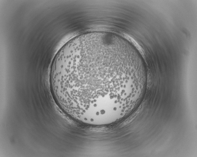 X0000115741386200912031418