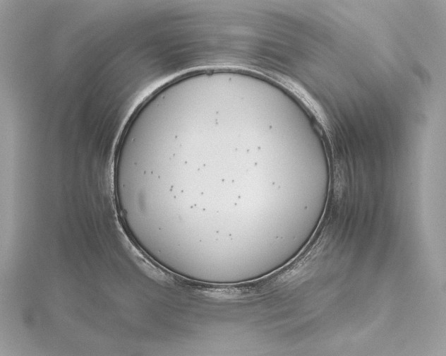 X0000115741388200912031418