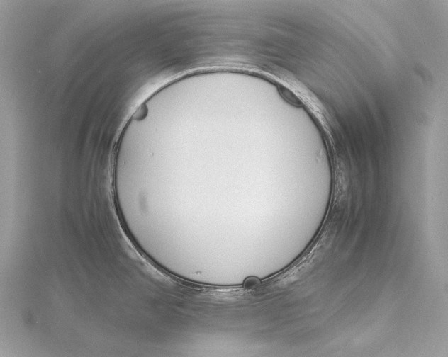 X0000115741390200912031418