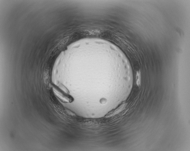 X0000115741395200912031417