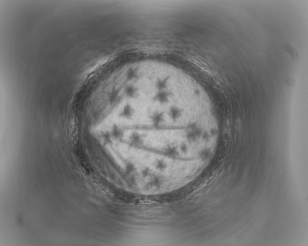 X0000115741398200912031417