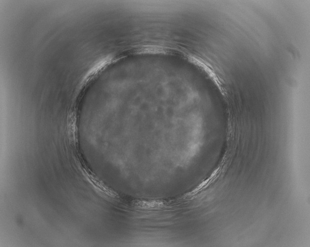 X0000115741403200912031418