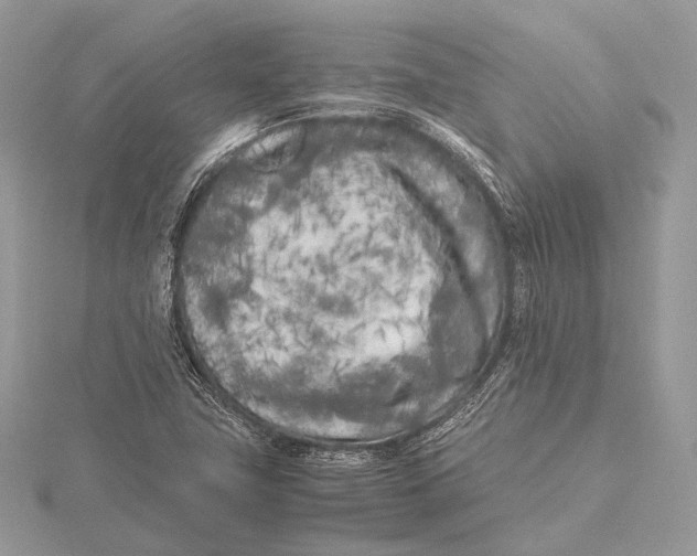 X0000115741411200912031418