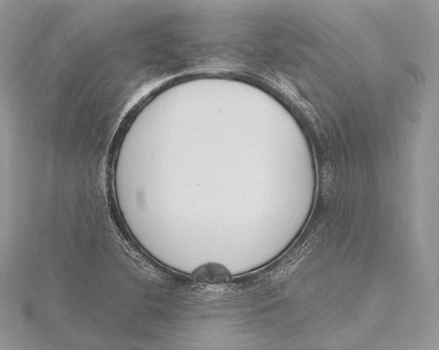 X0000115741412200912031418