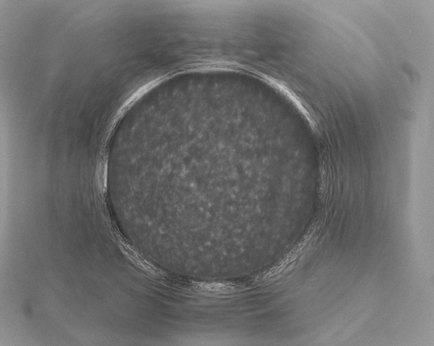 X0000115741413200912031418