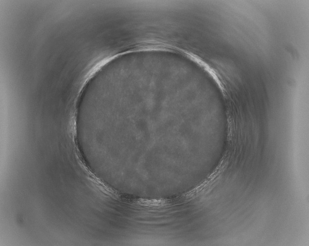 X0000115741415200912031418