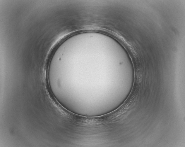 X0000115741416200912031418