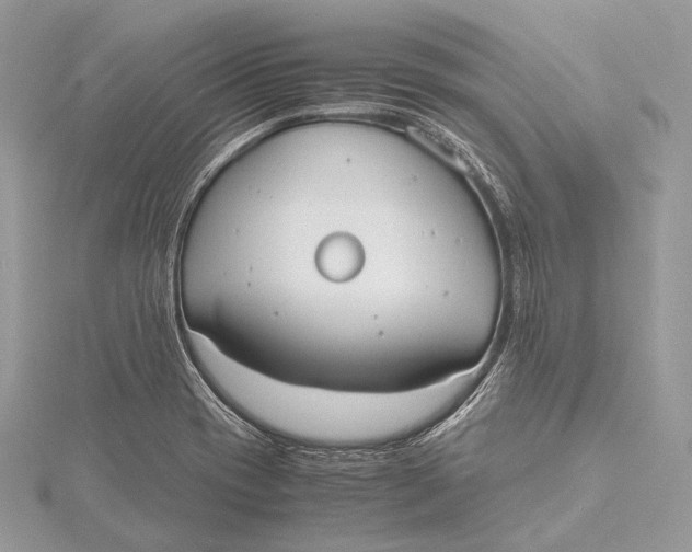 X0000115741417200912031418