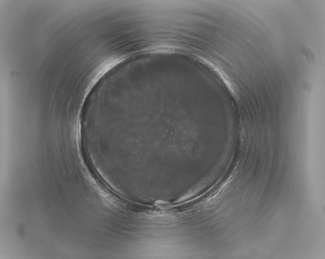 X0000115741418200912031418