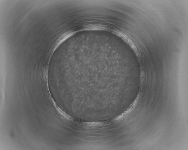 X0000115741425200912031418