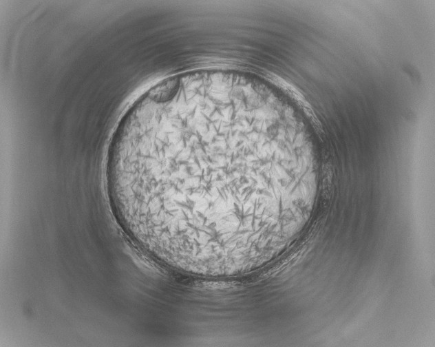 X0000115741427200912031418