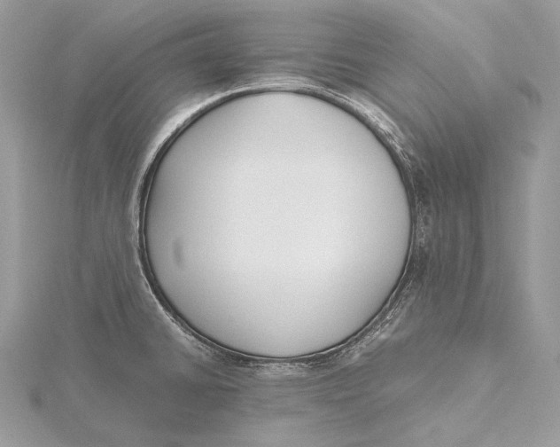 X0000115741430200912031418