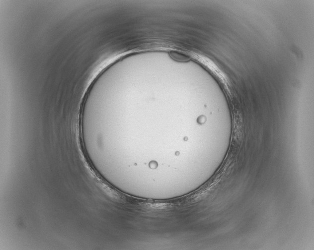 X0000115741431200912031418