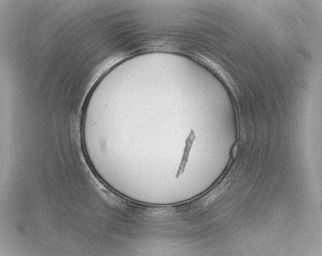 X0000115741434200912031418