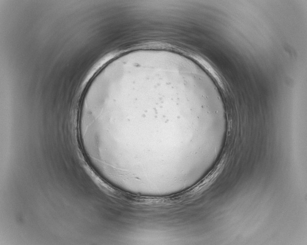 X0000115741438200912031418