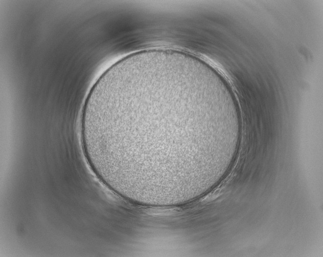 X0000115741440200912031418