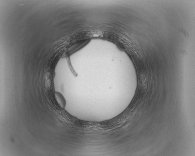 X0000115741442200912031417