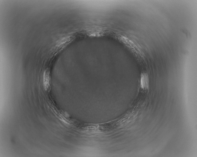 X0000115741444200912031417