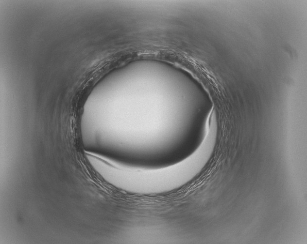 X0000115741445200912031417