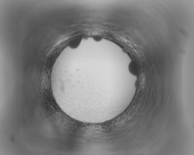 X0000115741446200912031417