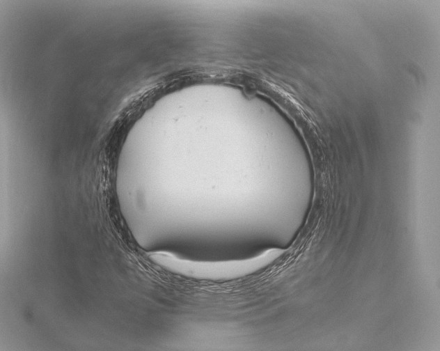 X0000115741447200912031417