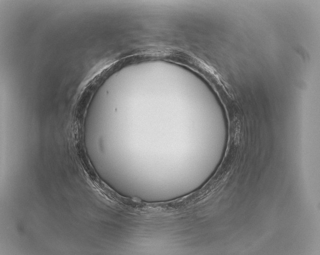 X0000115741448200912031417